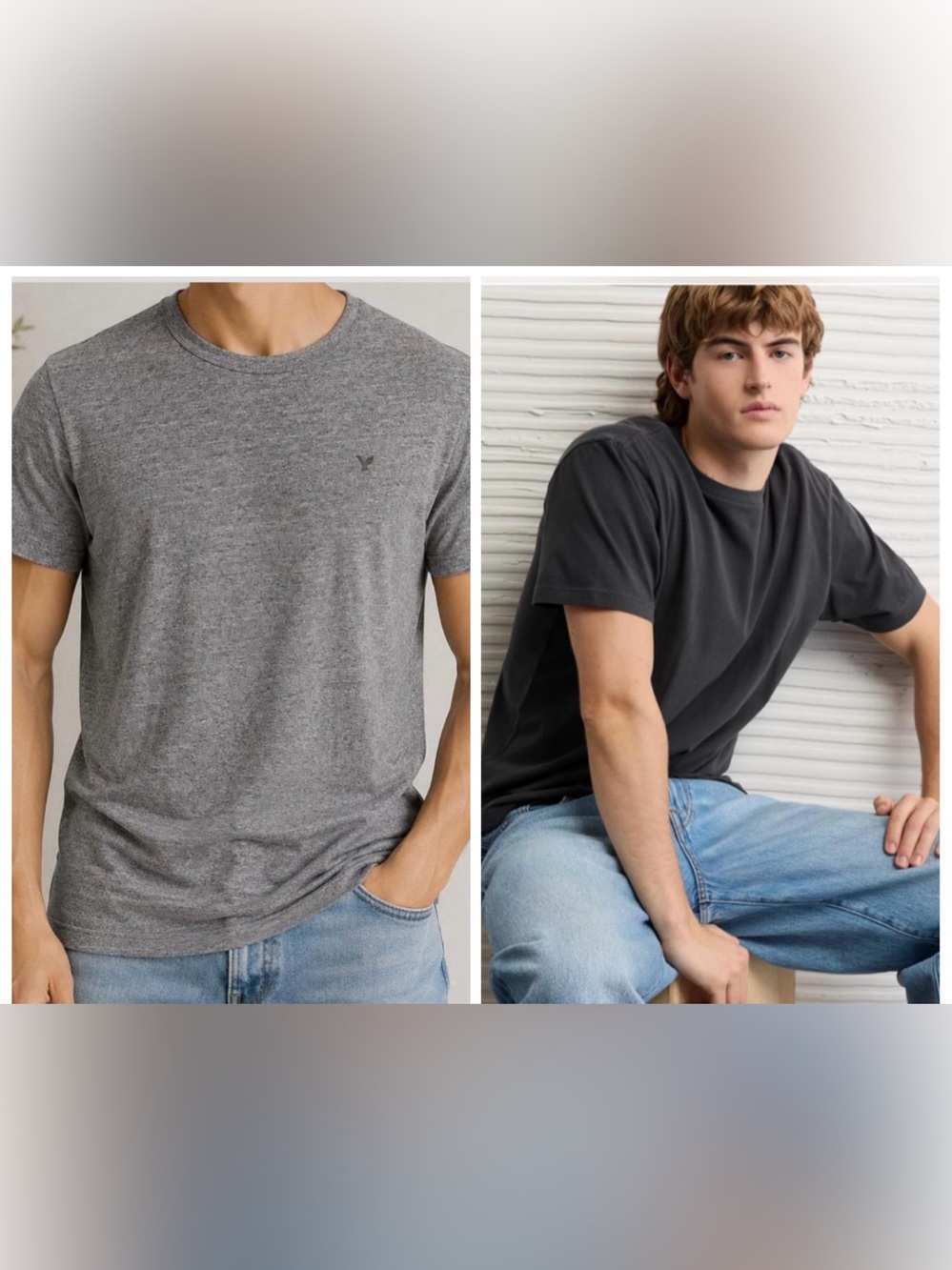 American Eagle Outfitters Standard Fit Super Soft Tees Set of 2